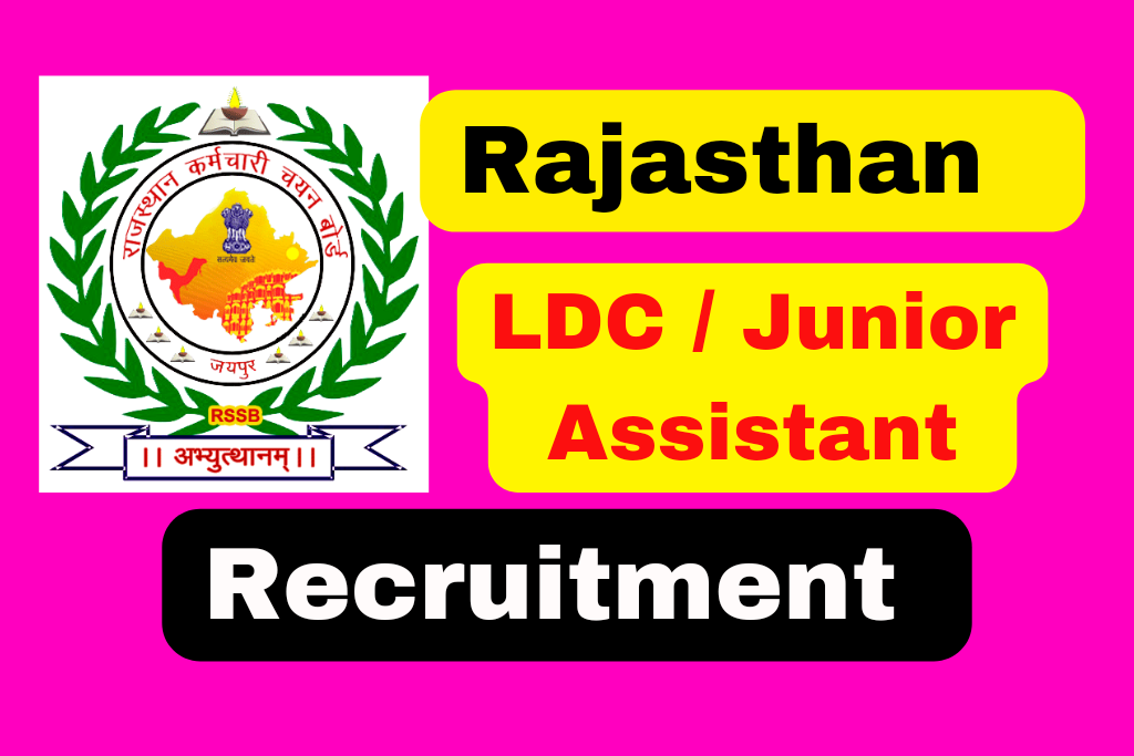 RSMSSB LDC Vacancy Recruitment